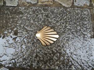 Camino shell in pavement, Burgos