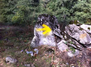 Yellow Arrow along the Camino